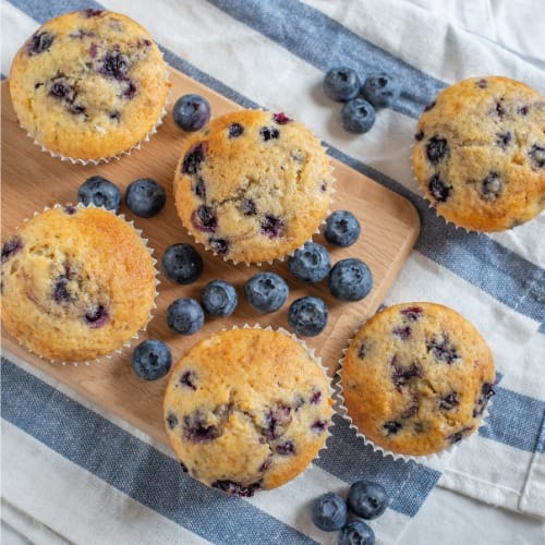 SBD Supps Vanilla & Blueberry Protein Muffins